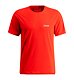 Férfi sport póló Swix Position Tee M