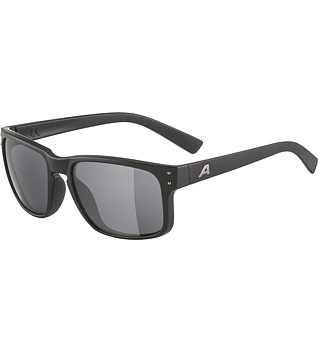 Sluneční brýle Alpina KOSMIC