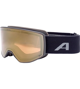 Lyžařské brýle Alpina VENET QV