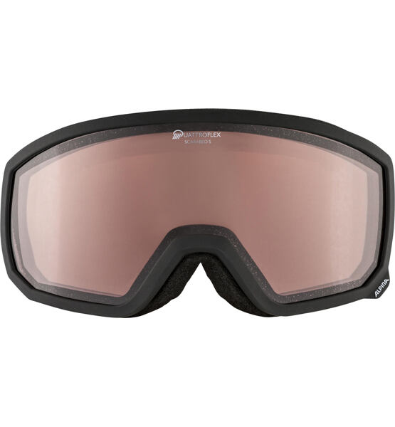 Lyžařské brýle Alpina Scarabeo S Q