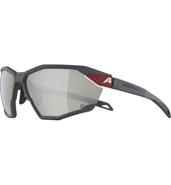 Sluneční brýle Alpina TWIST SIX Q