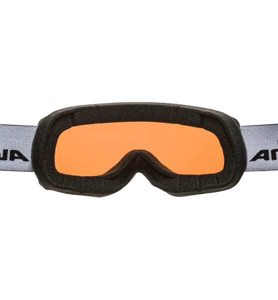 Lyžařské brýle Alpina Scarabeo S Q