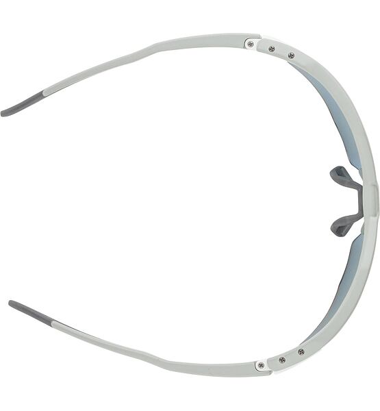 Sluneční brýle Alpina TWIST SIX S HR QV