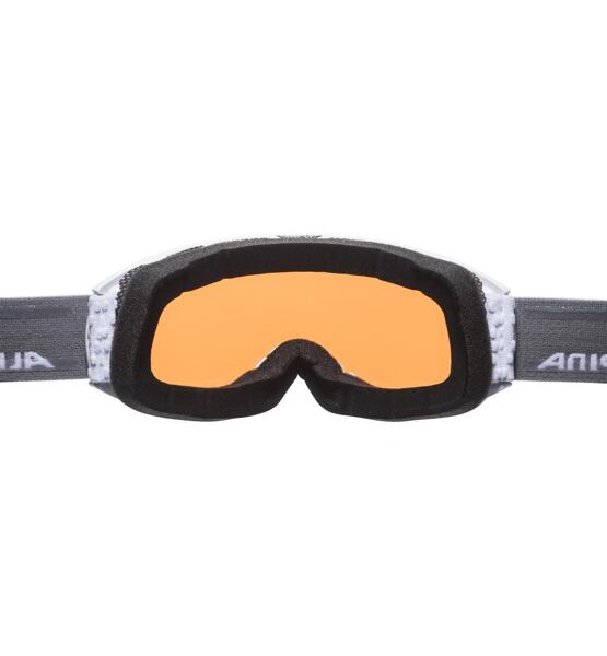 Lyžařské brýle Alpina Nakiska Q