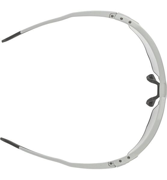 Sluneční brýle Alpina TWIST SIX HR V