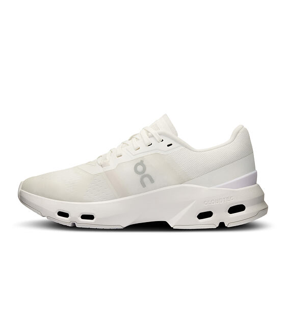 Pánské tréninkové boty On Cloudpulse