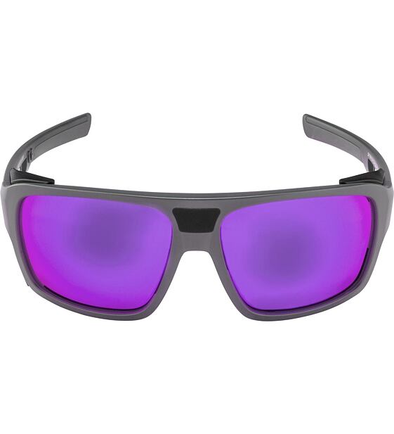Sluneční brýle Alpina SKYWALSH